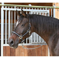 Produktbild von Kerbl Mustang Halfter Full aus Nylon für Warmblut in Schwarz/Silber Gr. 3