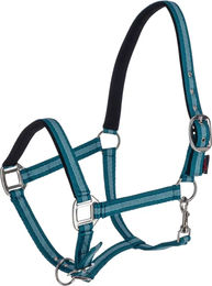 Kerbl Mustang Pferdehalfter aus Nylon in Blau und Türkis für Vollblut – Bild 1 von 1