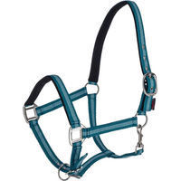 Produktbild von Kerbl Mustang Pferdehalfter aus Nylon in Blau und Türkis Größe 2XFull