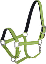 Kerbl Mustang Pferdehalfter aus Nylon in Grün für Vollblut – Bild 1 von 1