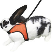 Produktbild von Kerbl Nagergeschirr Sport für Kaninchen mit 120 cm Leine
