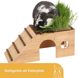 Kerbl Nagerhaus Nature aus Holz mit Rampe und Futterplatz für Kaninchen 48x22x20cm – Bild 1 von 13