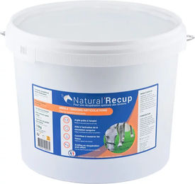 Kerbl Natural'Recup Kühlende grüne Tonerde für Sehnen in der Dose - 1,3 kg – Bild 1 von 1