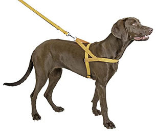 Kerbl Norwegergeschirr für Hunde reflektierend aus Nylon 25mm x 70-90cm – Bild 1 von 3