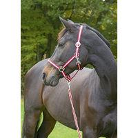Produktbild von Kerbl Nylonhalfter Hippo Cob bordeaux/beige für Vollblut Pferde