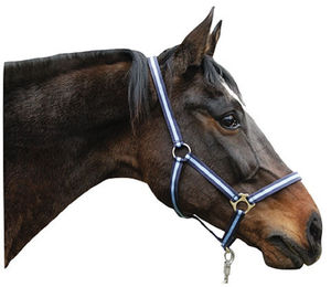 Kerbl Nylonhalfter Hippo für Warmblut Pferdehalfter Marine/Hellblau – Bild 1 von 2