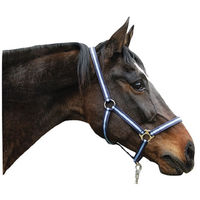 Produktbild von Kerbl Nylonhalfter Hippo für Warmblut Pferdehalfter Marine/Hellblau