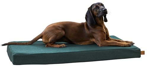Kerbl Oliver Hundematratze aus Memory Foam in Grün für Senior Hunde – Bild 1 von 7