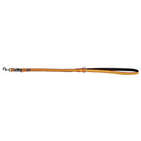 Produktbild von Kerbl Pet 81057 Führleine aus Nylon reflektierend schwarz/orange 20mm x 200cm - 200 cm