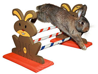 Kerbl Pet Agility Nagerhürde aus Holz bunt für Nagetiere 62 x 33 x 34 cm – Bild 1 von 8