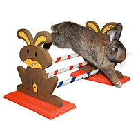 Produktbild von Kerbl Pet Agility Nagerhürde aus Holz bunt für Nagetiere 62 x 33 x 34 cm