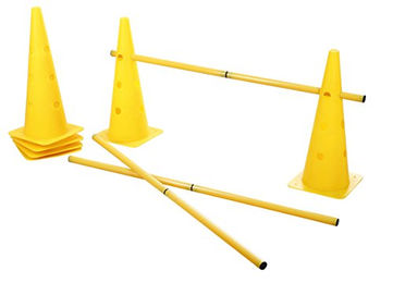 Kerbl Pet Agility Pylonen-Hürden Set aus Kunststoff in Gelb – Bild 1 von 3