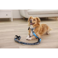 Produktbild von Kerbl Pet Halsband Lima wasserfest Kunststoff Blau Schwarz 59 cm