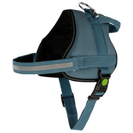 Kerbl Pet Hundegeschirr Maestro 2.0 aus Polyester in Blau Türkis 15mm x 45-60cm mit Adresstube – Bild 1 von 6