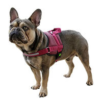 Produktbild von Kerbl Pet Hundegeschirr Maestro 2.0 Bordeaux Polyester mit Adresstube 15mm x 45-60cm