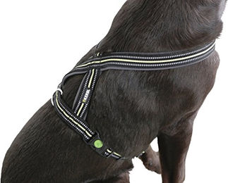 Kerbl Pet Hundegeschirr Xenos aus Nylon in Schwarz und Neongelb 25mm x 50-80cm – Bild 1 von 4