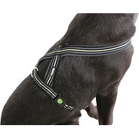 Produktbild von Kerbl Pet Hundegeschirr Xenos aus Nylon in Schwarz und Neongelb 25mm x 50-80cm