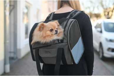 Kerbl Pet Hunderucksack Vacation für kleine Hunde und Katzen aus Oxford-Gewebe Grau Blau Größe M – Bild 1 von 9