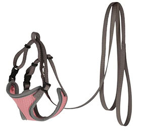 Produktbild von Kerbl Pet Katzengeschirr mit Leine 120cm x 10mm Koralle - 120 cm