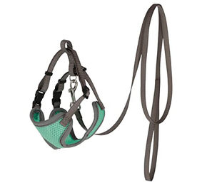 Produktbild von Kerbl Pet Katzengeschirr mit Leine 120cm x 10mm türkis - 120 cm