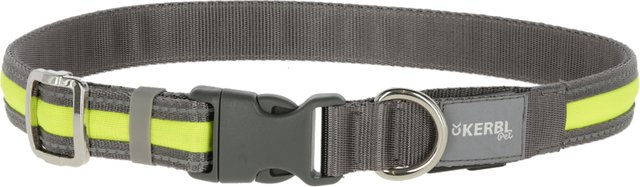 Produktbild von Kerbl Pet Light & Reflex Führleine aus Nylon mit Akku und Reflexion 120 cm lang