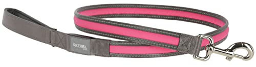 Kerbl Pet Light & Reflex Leuchtleine für Hunde 25mm x 120cm pink – Bild 1 von 1