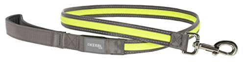 Kerbl Pet Light & Reflex Set aus Leuchthalsband und Leine für Hunde, wasserabweisend und wiederaufladbar, Gelb/Grau - 120 cm – Bild 1 von 3