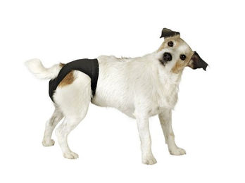 Kerbl Pet Luxus Schutzhose für Hunde Schwarz Baumwolle Gr. 1 Bauchumfang 38-45cm - 1 Stk. – Bild 1 von 2