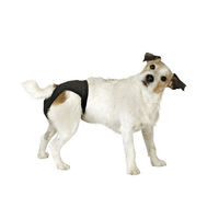 Produktbild von Kerbl Pet Luxus Schutzhose für Hunde Schwarz Baumwolle Gr. 1 Bauchumfang 38-45cm - 1 Stk.