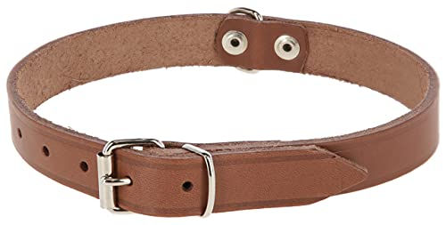Kerbl Pet Mexica Hundehalsband aus Leder Taupe 16 mm 29-37 cm – Bild 1 von 3