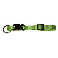 Produktbild von Kerbl Pet Miami Hundehalsband aus Nylon in Grün, wasserabweisend, verstellbar 30-45cm - 1 Stk.