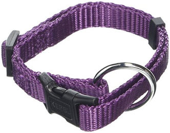 Kerbl Pet Miami Hundehalsband aus Nylon in Lila wasserabweisend und verstellbar – Bild 1 von 2