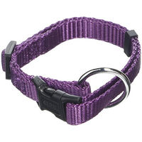 Produktbild von Kerbl Pet Miami Hundehalsband aus Nylon in Lila wasserabweisend und verstellbar