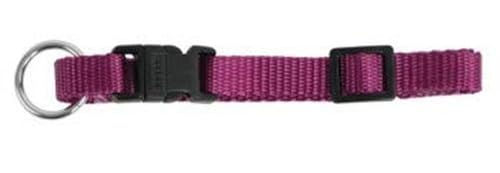 Kerbl Pet Miami Hundehalsband aus Nylon in Lila, wasserabweisend, verstellbar 20-35cm – Bild 1 von 4