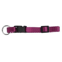 Produktbild von Kerbl Pet Miami Hundehalsband aus Nylon in Lila, wasserabweisend, verstellbar 20-35cm