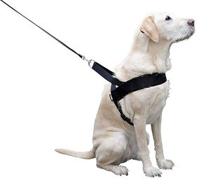 Kerbl Pet Miami Plus Hundegeschirr aus Nylon in Schwarz wasserabweisend 60-75cm – Bild 1 von 6