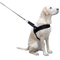 Produktbild von Kerbl Pet Miami Plus Hundegeschirr aus Nylon in Schwarz wasserabweisend 60-75cm