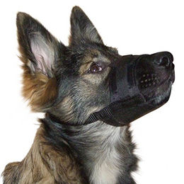 Kerbl Pet Nylon Maulkorb für Hunde XXL Schwarz 22-30 cm – Bild 1 von 3