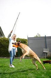 Kerbl Pet Reizangel für Hunde mit Seil und Teleskopstange 47-130cm – Bild 1 von 2