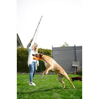 Produktbild von Kerbl Pet Reizangel für Hunde mit Seil und Teleskopstange 47-130cm
