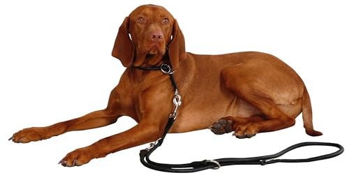 Kerbl Pet Rundleder-Halsband Roma aus Leder mit Stopper Schwarz 50cm 8mm – Bild 1 von 2