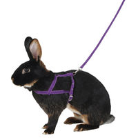 Produktbild von Kerbl Pet Schultergeschirr Agility für Kaninchen mit 2m Leine lila Größe M - 2 m