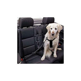 Kerbl Pet Sicherheitsgeschirr für Hunde Autohundegeschirr aus Nylon Schwarz Größe S größenverstellbar 50-70 cm – Bild 1 von 4