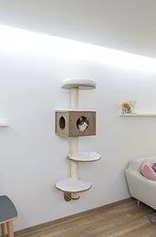 Kerbl Pet Wandkratzbaum Dinari aus Holz in Braun und Weiß 45x45cm – Bild 1 von 7