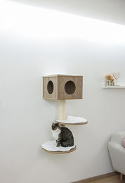 Kerbl Pet Wandkratzbaum Dinari Light aus Holz für Katzen in Braun und Weiß 45x45x106cm – Bild 1 von 8