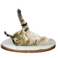 Produktbild von Kerbl Pet Wandliegebrett oval aus Keramik in Weiß 50 x 35 x 1.5 cm - 1 Stk.