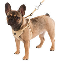 Produktbild von Kerbl Pet Welpengeschirr mit Führleine aus Nylon in Beige 24-44 cm - 1 Stk.