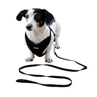 Produktbild von Kerbl Pet Welpengeschirr mit Führleine Schwarz 30-50 cm aus Netzmaterial - 120 cm