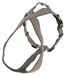 Kerbl Pet Xenos Hundegeschirr aus Nylon Grau Rot 20mm x 40-60cm – Bild 1 von 4
