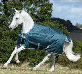 Kerbl Pferdedecke Atlantic Turnout 200g grün 145 cm aus Nylon - 1 Stk. – Bild 1 von 10